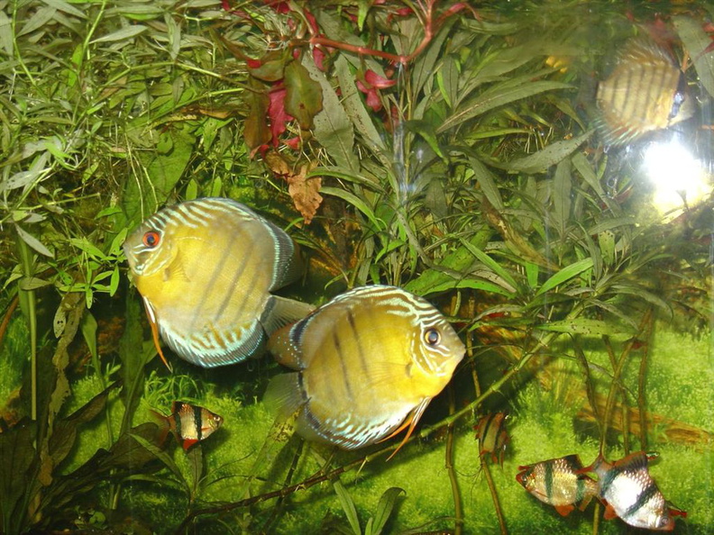 DSC00014