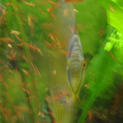 DSC01728