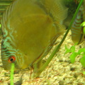 DSC01729