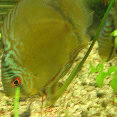 DSC01729