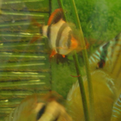 DSC01730