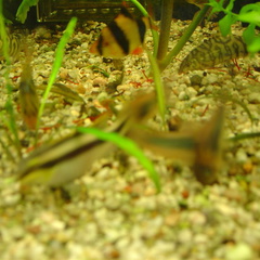 DSC01731