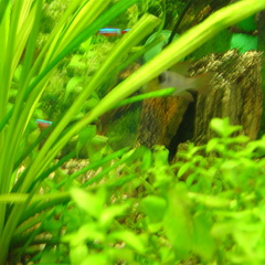 DSC01738