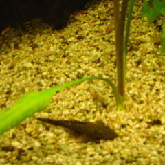 DSC01751