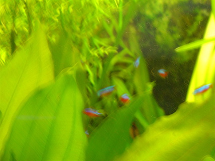 DSC01779