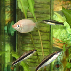 DSC01784