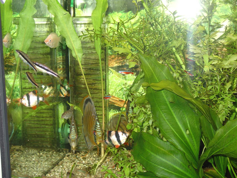 DSC01786