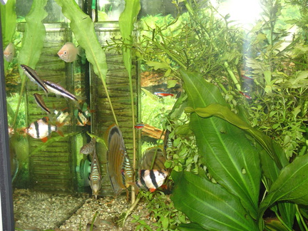 DSC01786