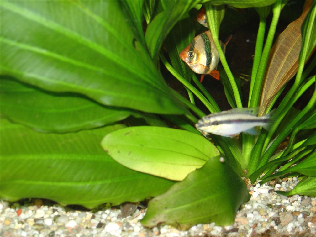 DSC01789