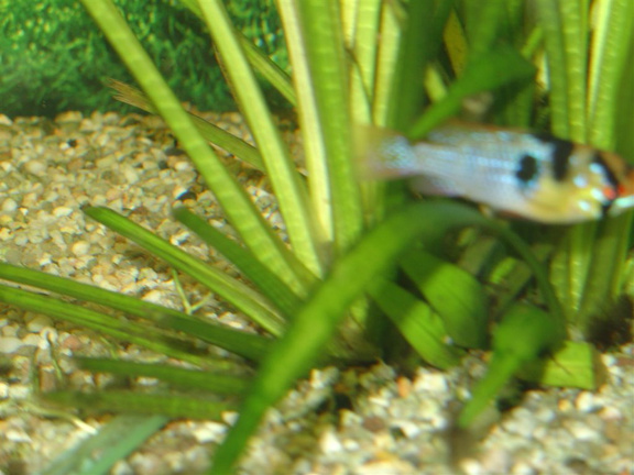 DSC01794