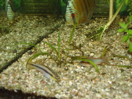 DSC01797
