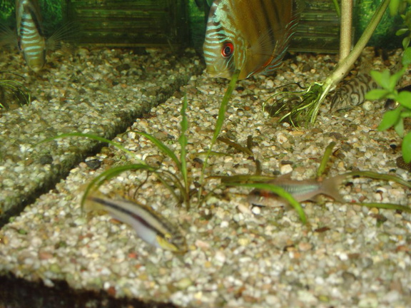 DSC01797