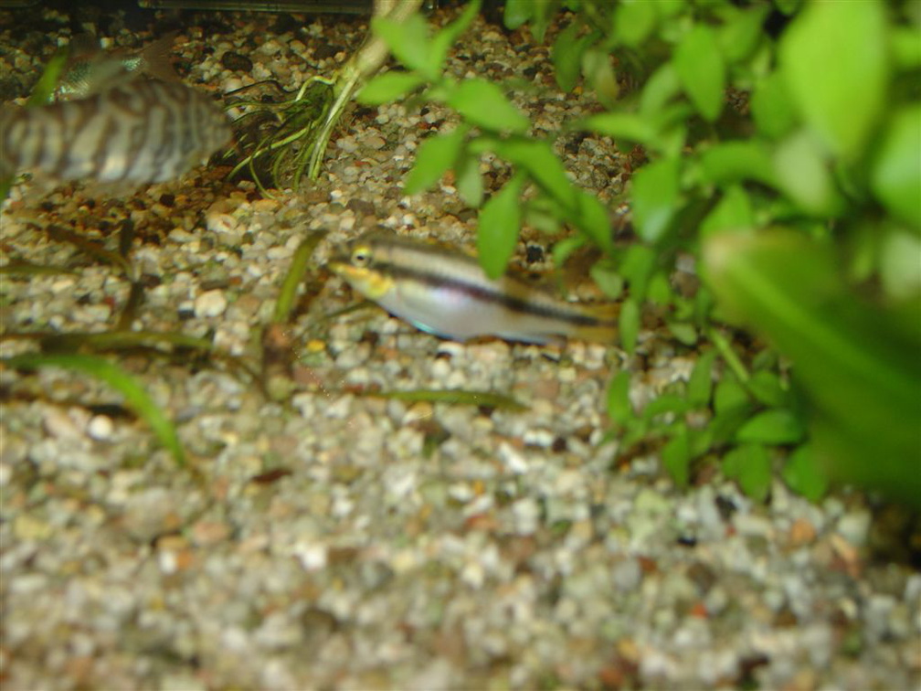 DSC01800