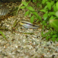 DSC01800