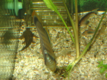 DSC01815