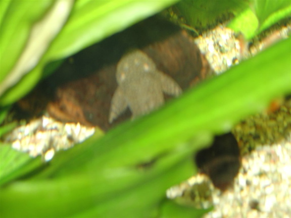 DSC01816