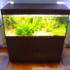 aquarium