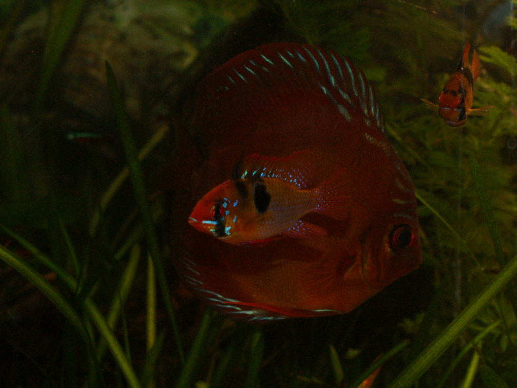 DSC00138