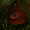 DSC00138