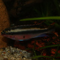 DSC00140
