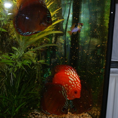 DSC00171