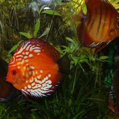 DSC00174