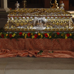 DSC00500