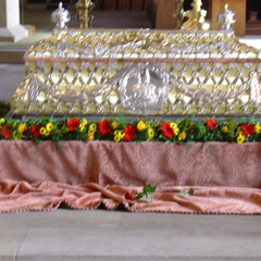 DSC00501