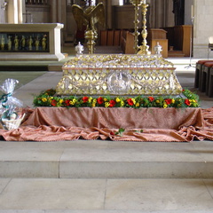 DSC00502