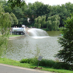 DSC02517