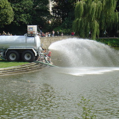 DSC02520