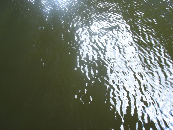 DSC03080