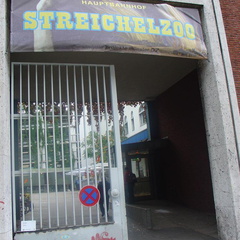 DSC03092