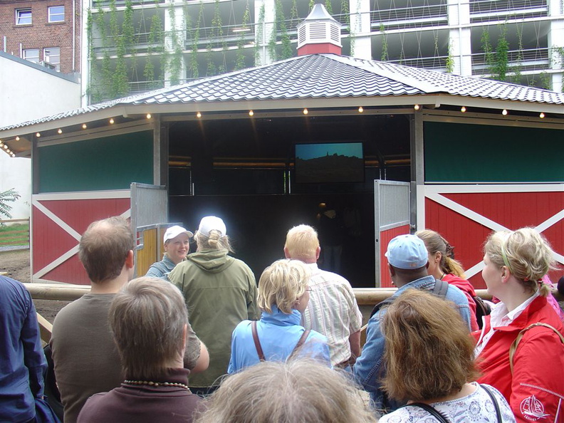 DSC03097.JPG