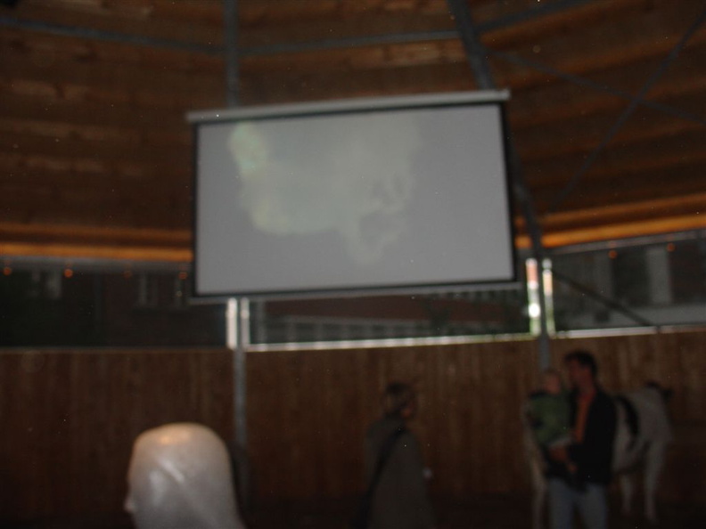 DSC03101.JPG