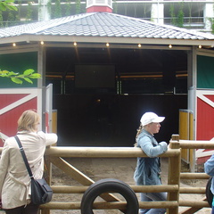 DSC03107