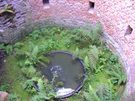 DSC03168