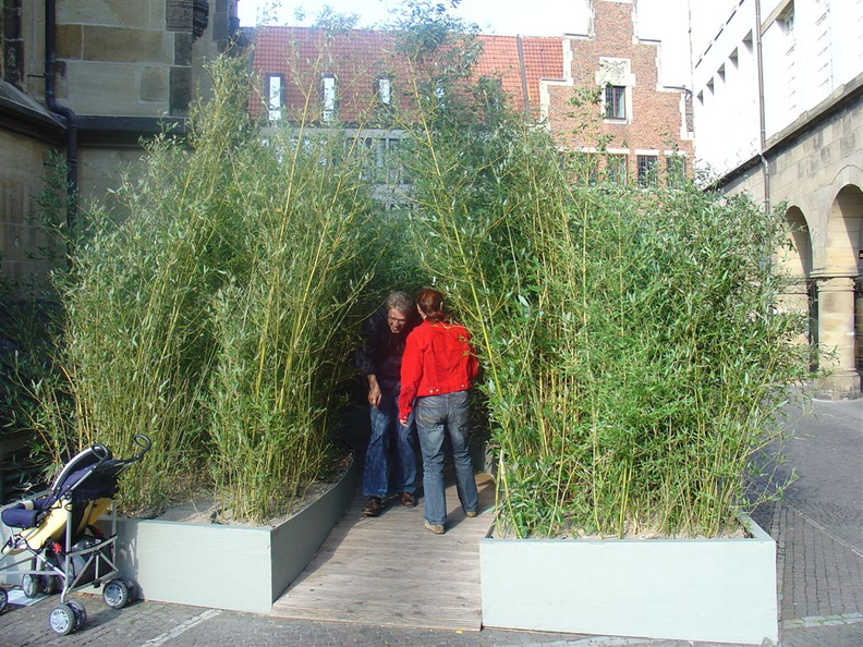 DSC03189.JPG
