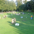 DSC03205