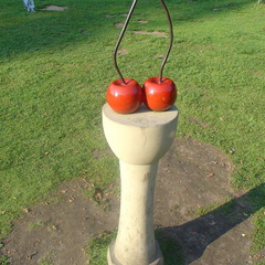 DSC03211