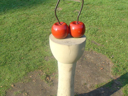 DSC03211