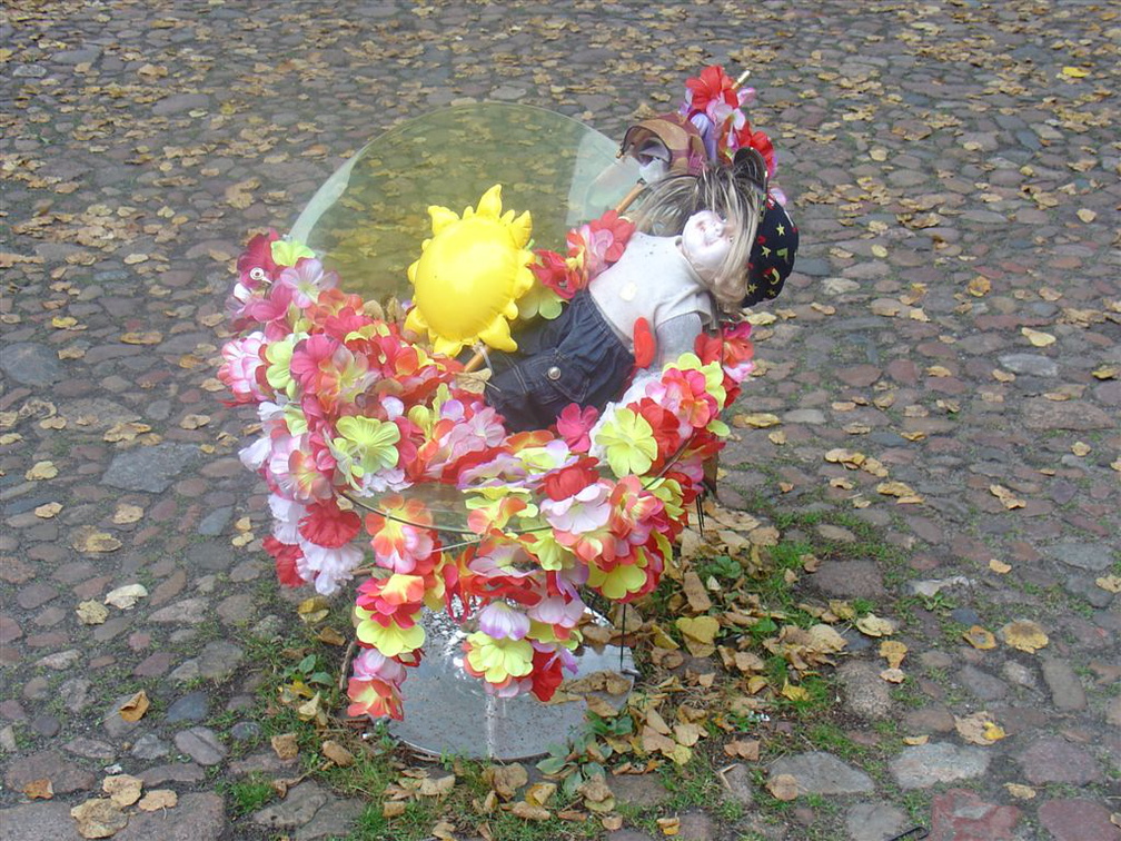 DSC03244