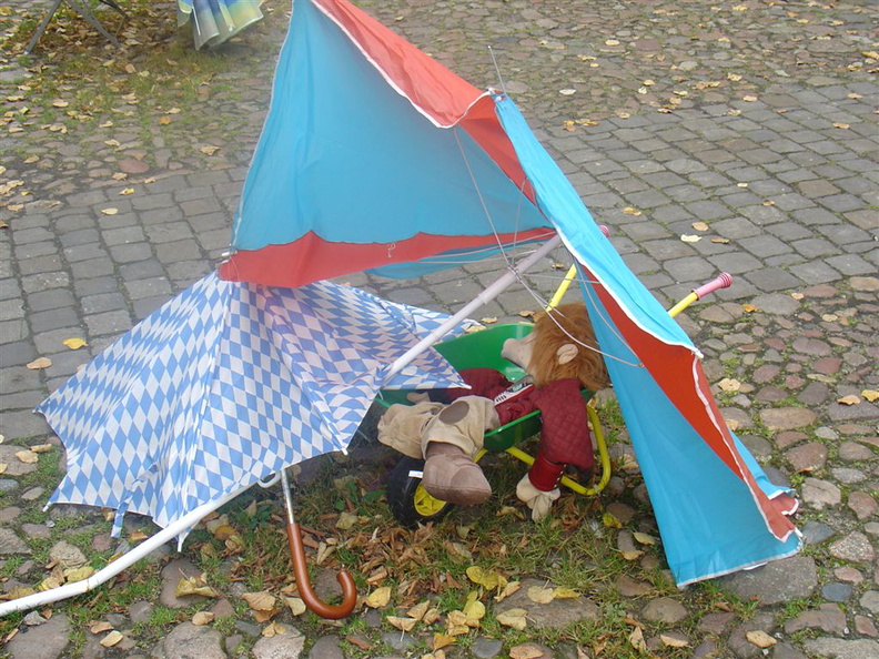 DSC03246
