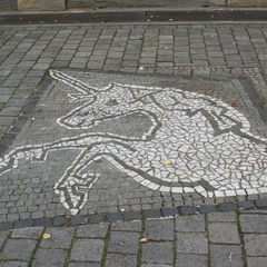 DSC00049