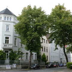 DSC00054