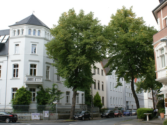 DSC00054
