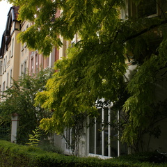 DSC00035