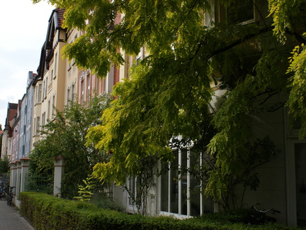 DSC00035