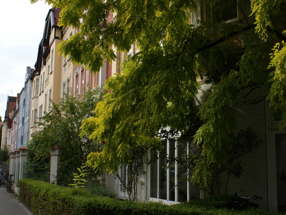 DSC00035
