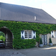 DSC05100